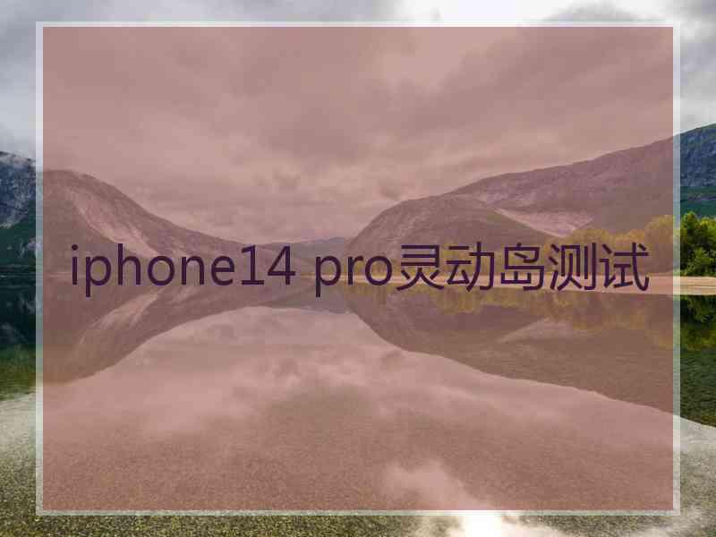 iphone14 pro灵动岛测试