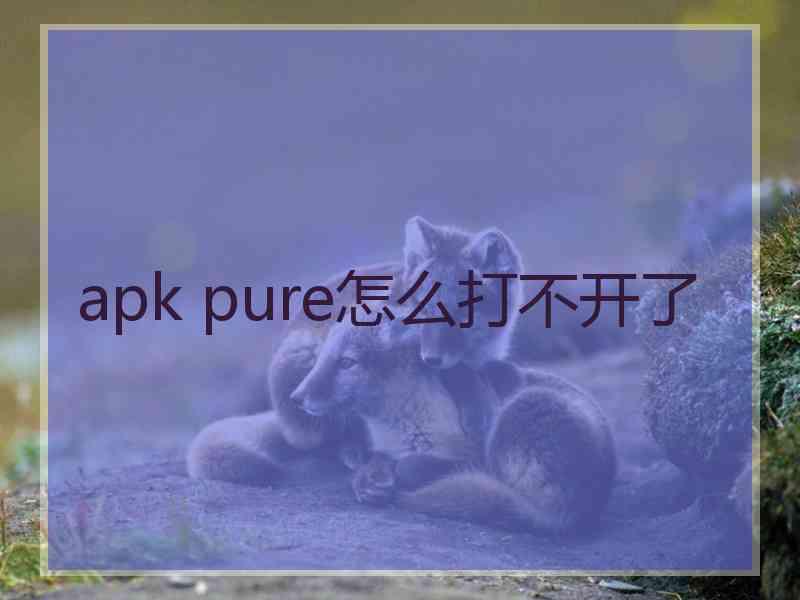 apk pure怎么打不开了