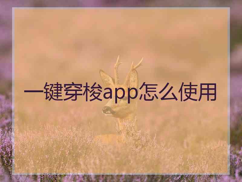 一键穿梭app怎么使用