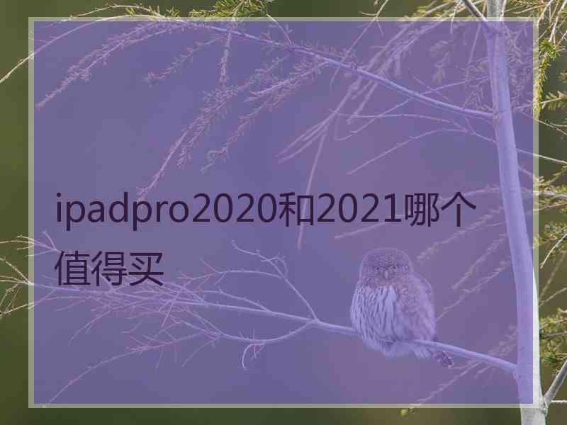 ipadpro2020和2021哪个值得买