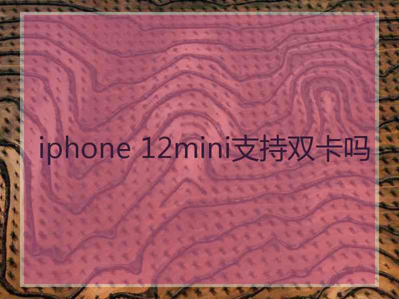 iphone 12mini支持双卡吗