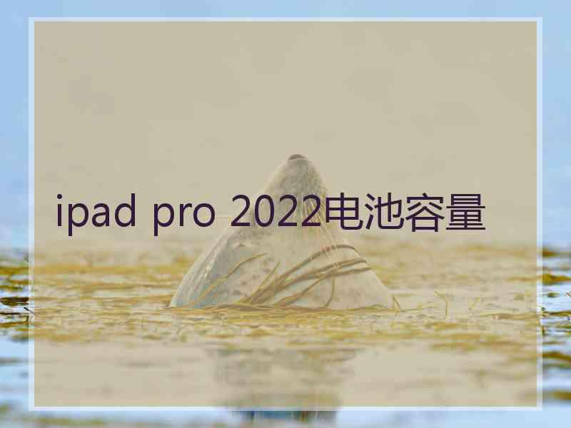 ipad pro 2022电池容量