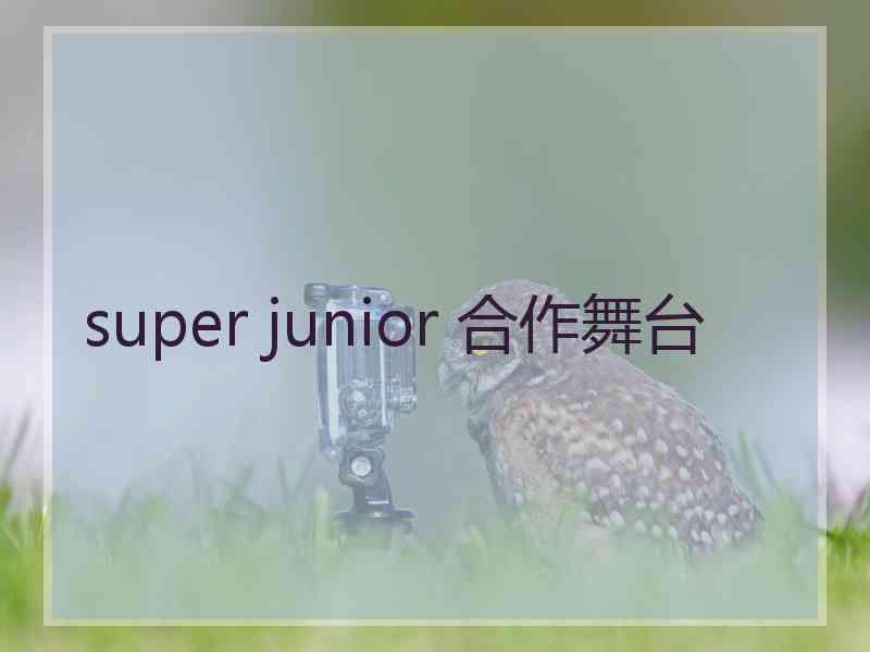 super junior 合作舞台