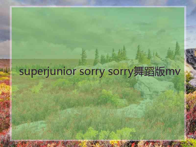 superjunior sorry sorry舞蹈版mv