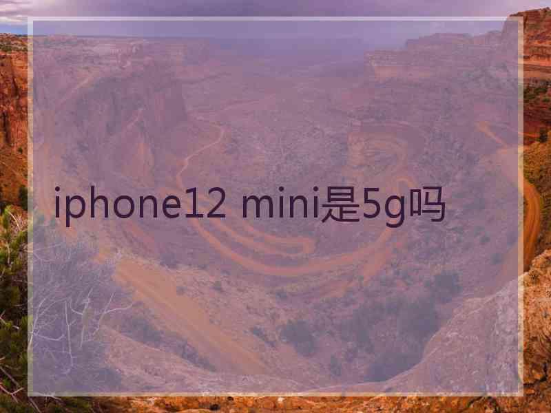 iphone12 mini是5g吗