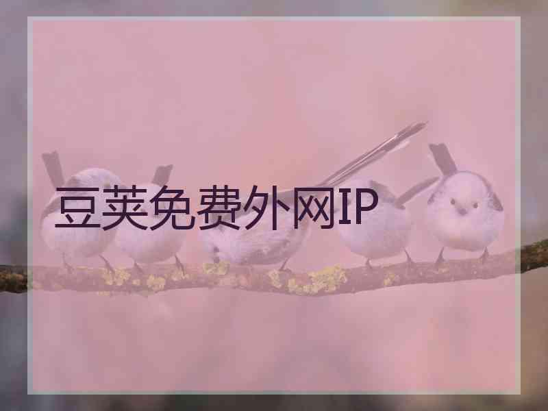 豆荚免费外网IP