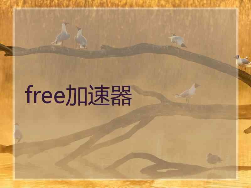 free加速器