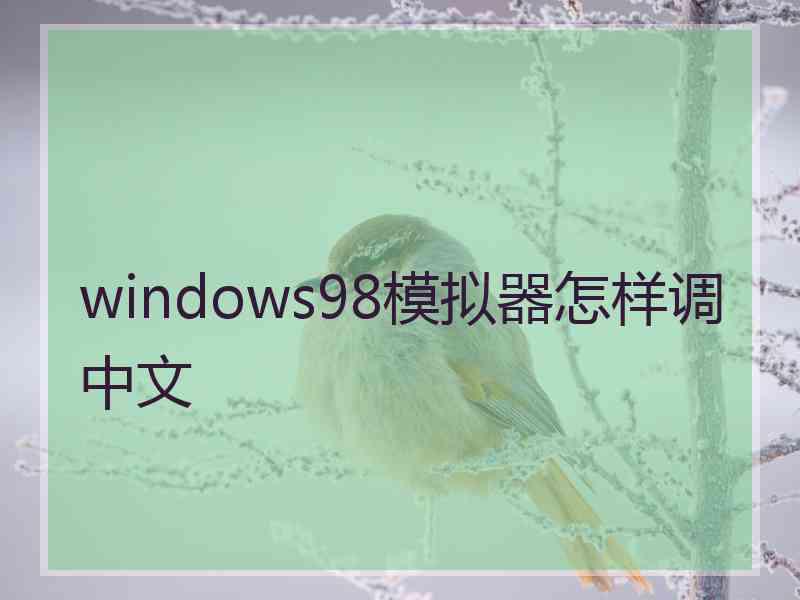 windows98模拟器怎样调中文