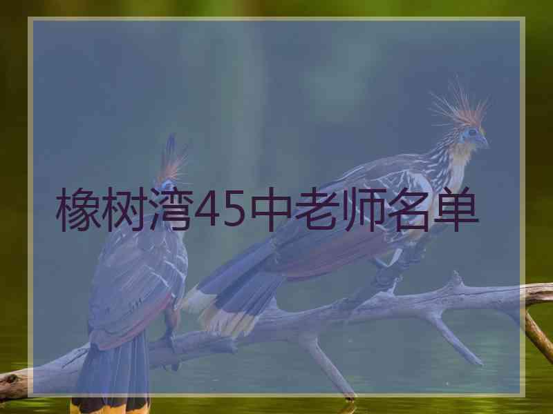 橡树湾45中老师名单