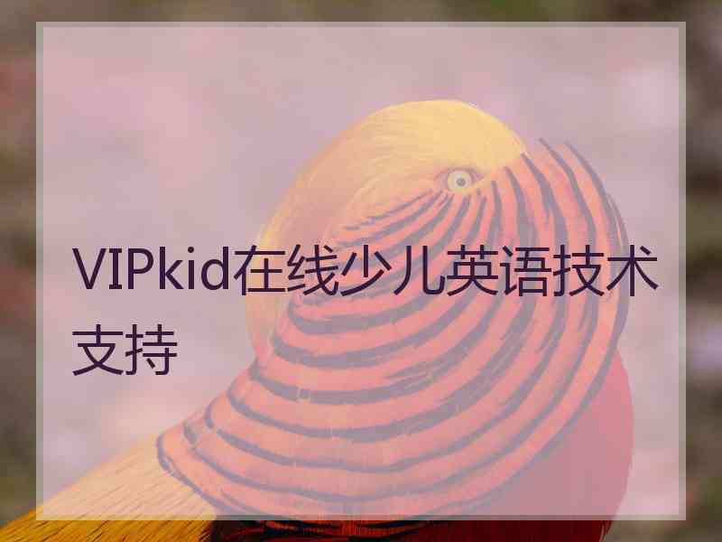 VIPkid在线少儿英语技术支持