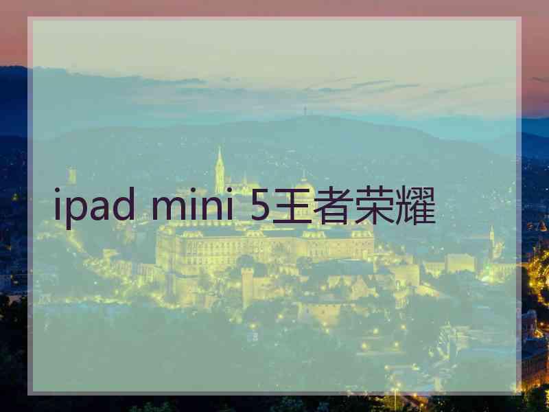 ipad mini 5王者荣耀