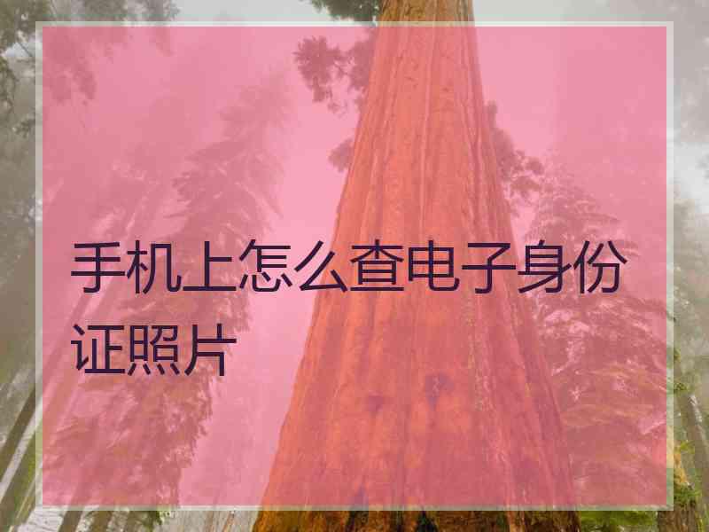 手机上怎么查电子身份证照片