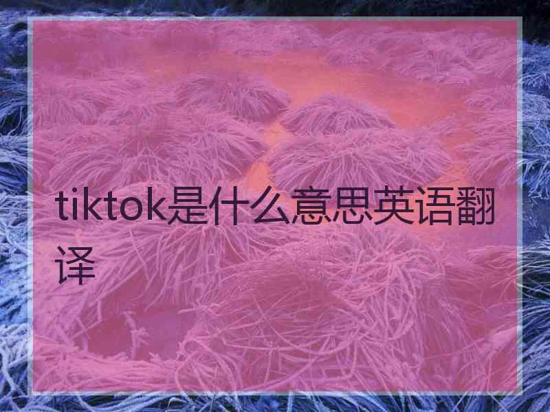 tiktok是什么意思英语翻译