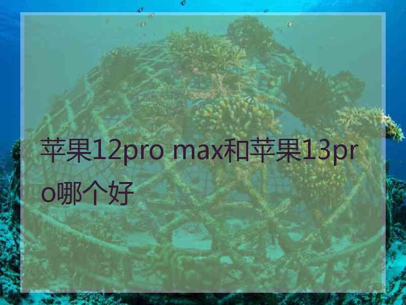 苹果12pro max和苹果13pro哪个好