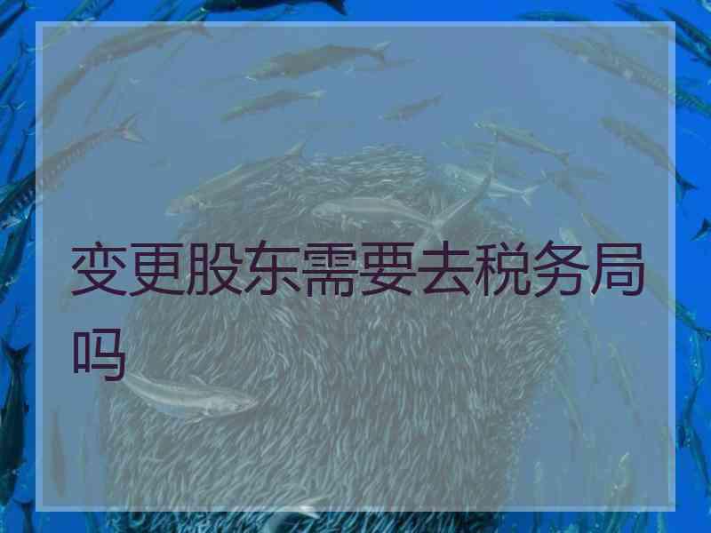 变更股东需要去税务局吗