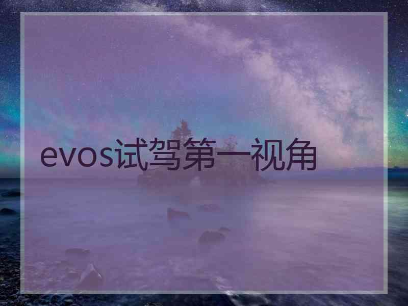 evos试驾第一视角