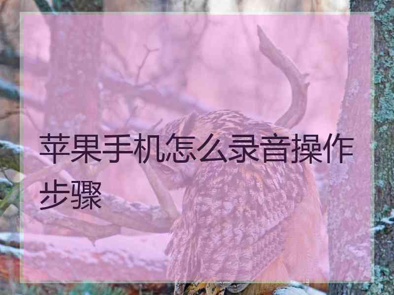 苹果手机怎么录音操作步骤