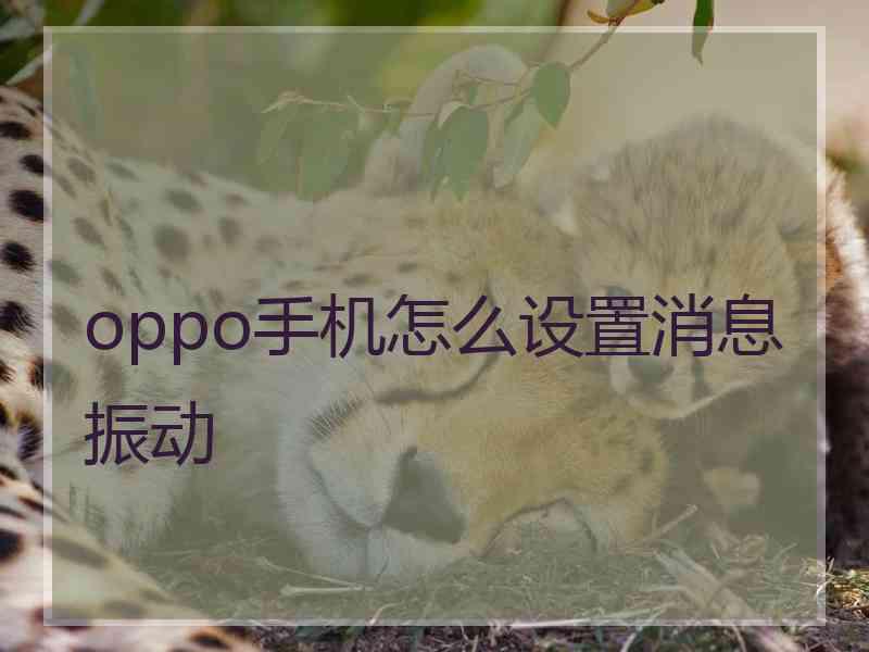 oppo手机怎么设置消息振动