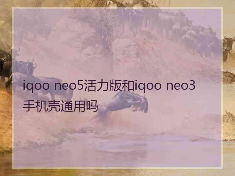 iqoo neo5活力版和iqoo neo3手机壳通用吗