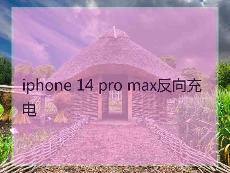 iphone 14 pro max反向充电