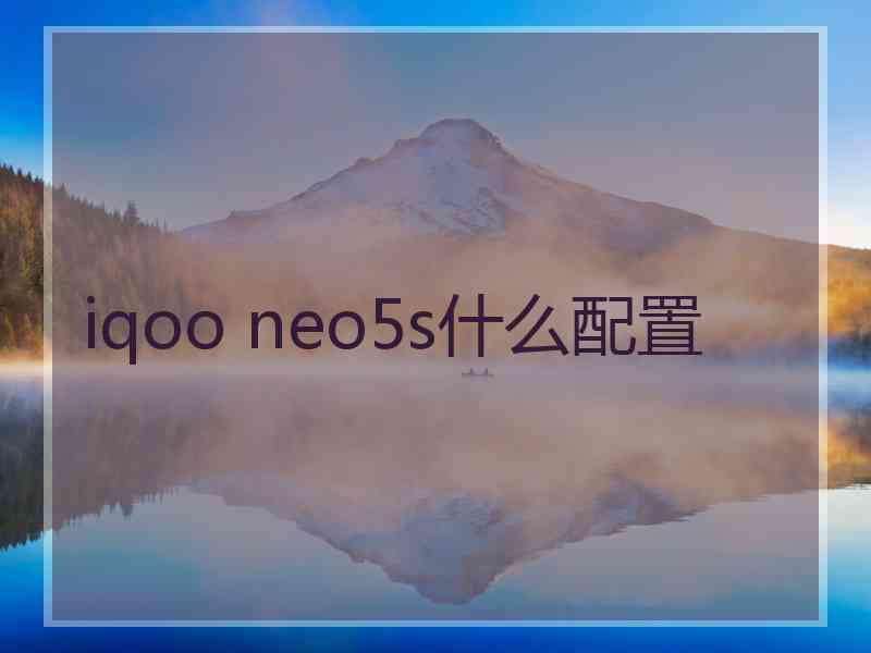 iqoo neo5s什么配置