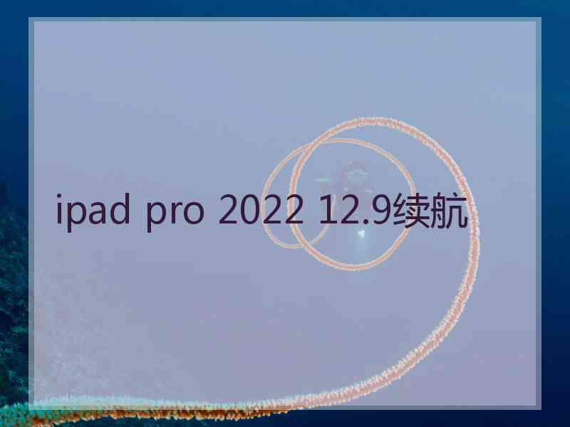 ipad pro 2022 12.9续航