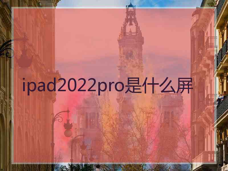 ipad2022pro是什么屏