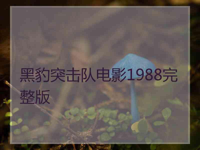 黑豹突击队电影1988完整版