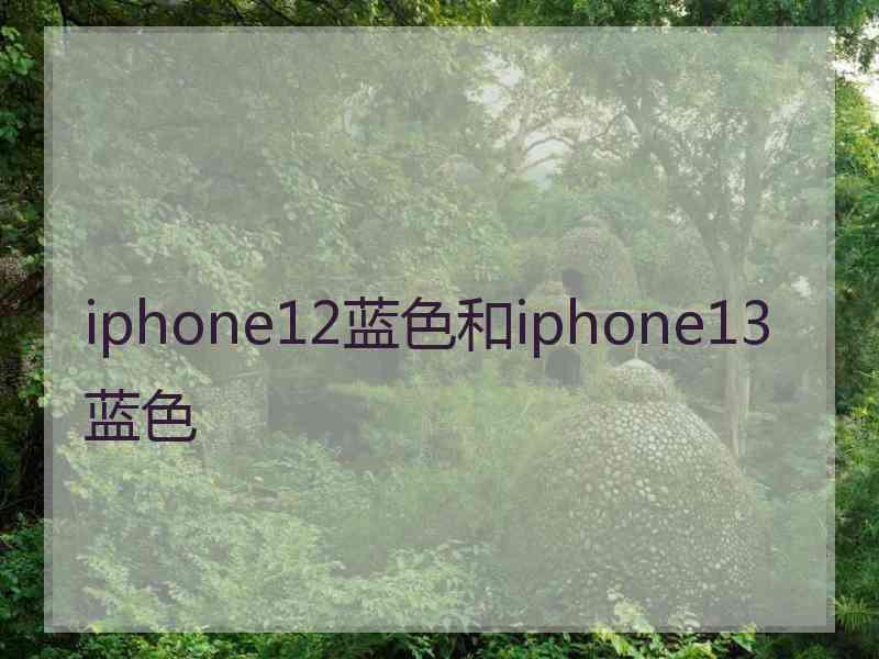 iphone12蓝色和iphone13蓝色