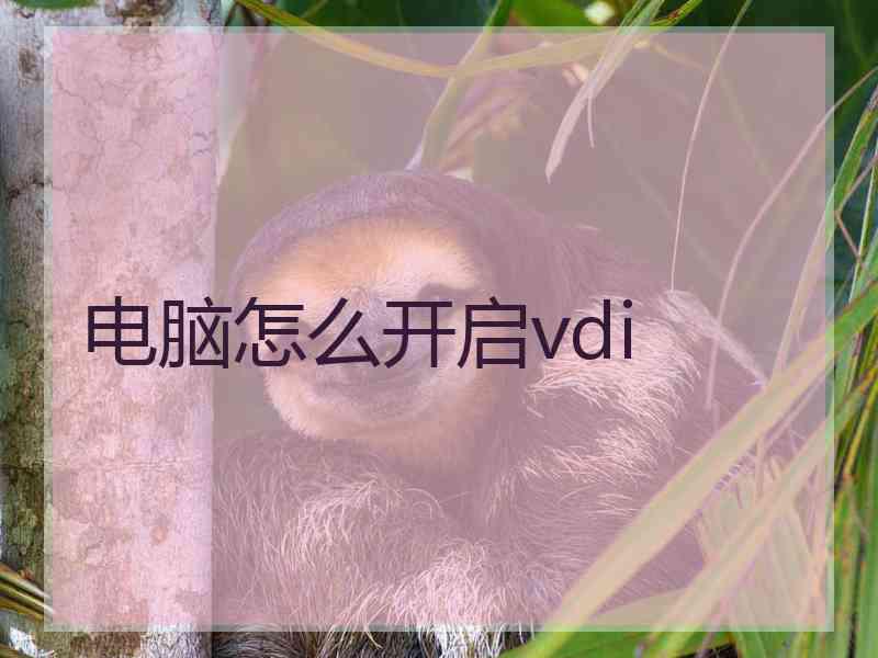 电脑怎么开启vdi