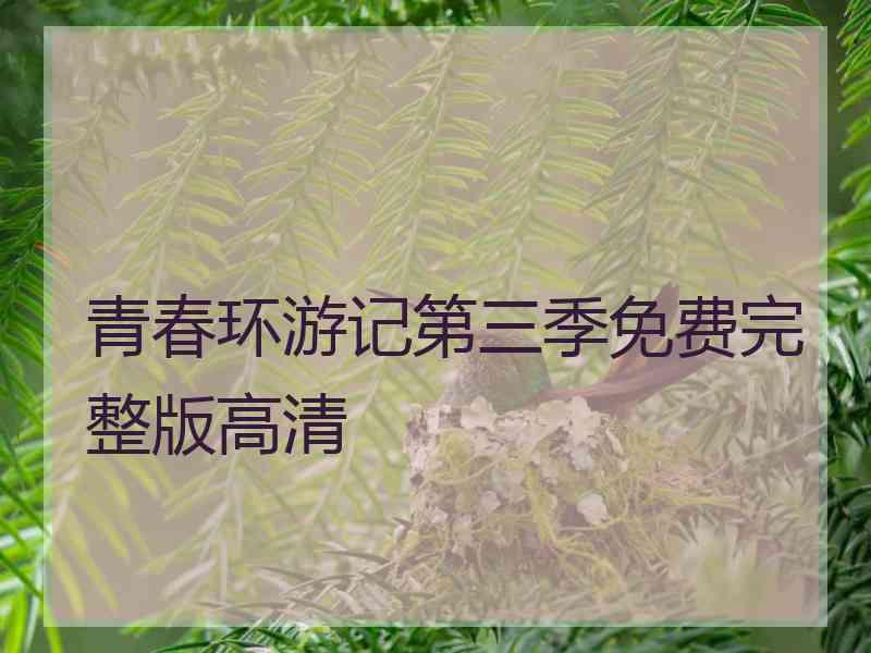 青春环游记第三季免费完整版高清