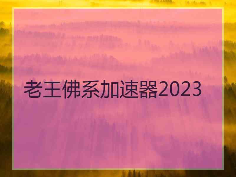 老王佛系加速器2023