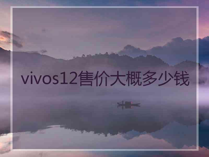 vivos12售价大概多少钱