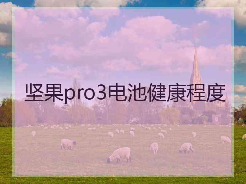 坚果pro3电池健康程度