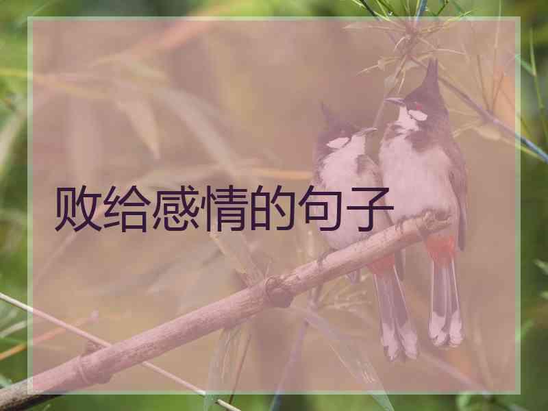 败给感情的句子