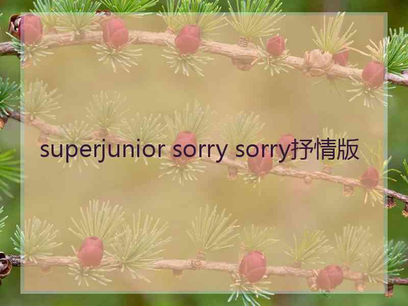 superjunior sorry sorry抒情版