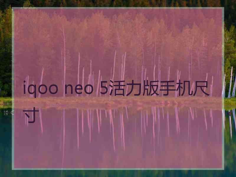 iqoo neo 5活力版手机尺寸