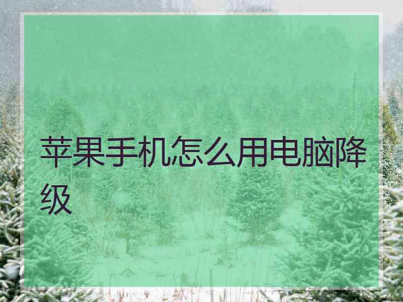 苹果手机怎么用电脑降级