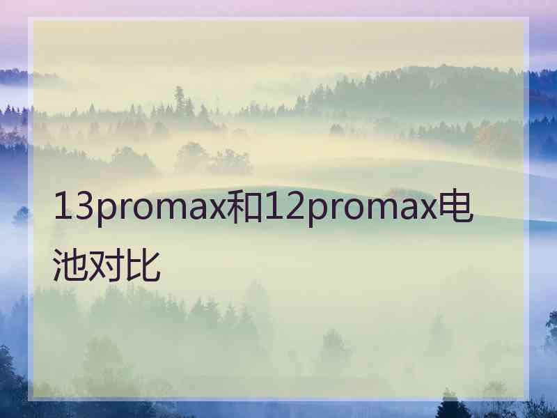 13promax和12promax电池对比