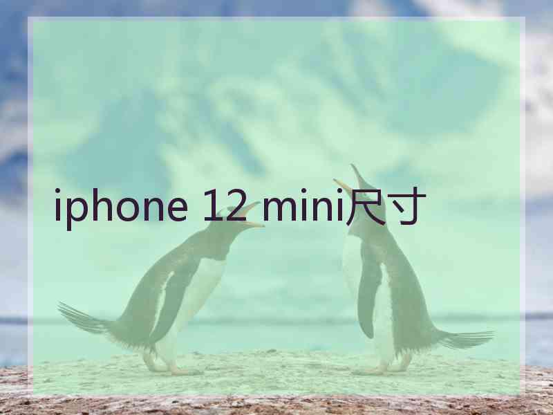 iphone 12 mini尺寸