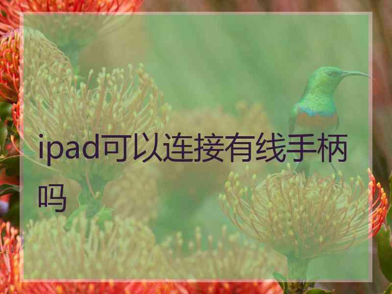 ipad可以连接有线手柄吗