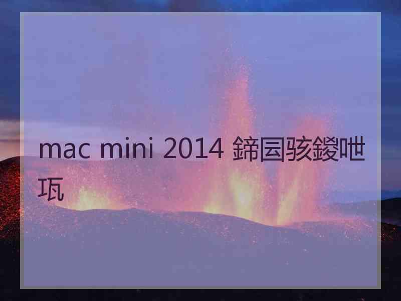 mac mini 2014 鍗囩骇鍐呭瓨