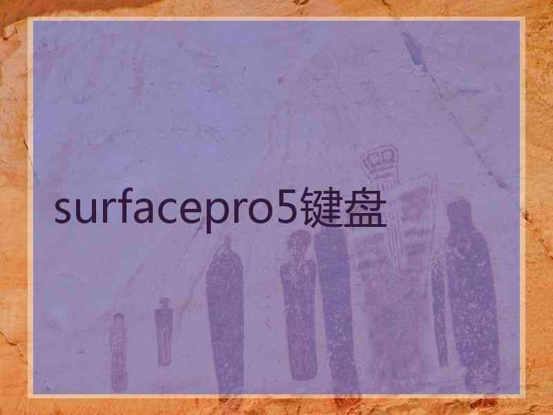 surfacepro5键盘