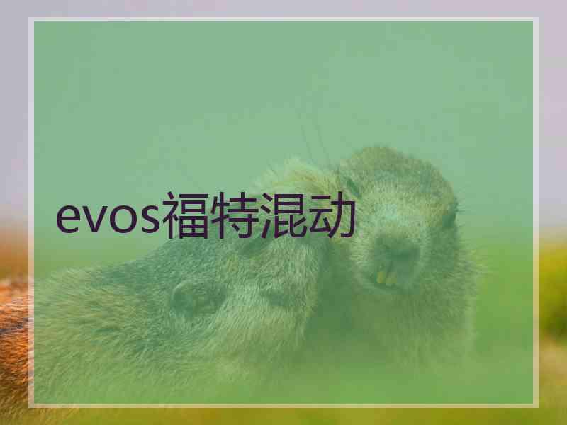 evos福特混动