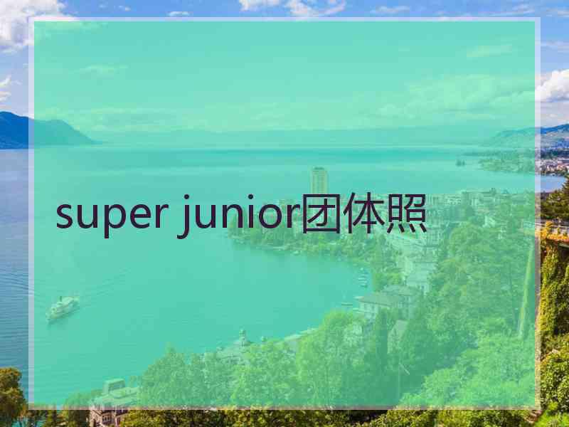 super junior团体照