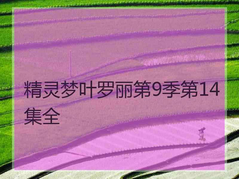 精灵梦叶罗丽第9季第14集全