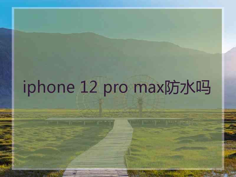 iphone 12 pro max防水吗