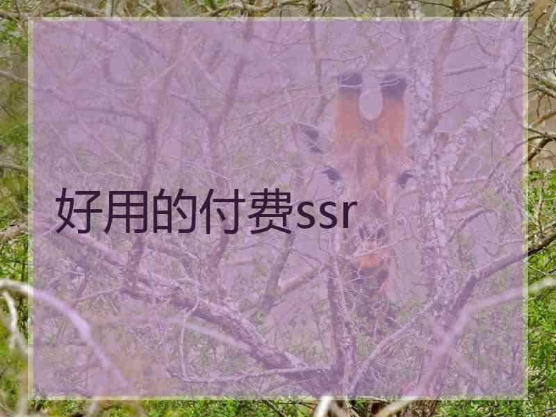 好用的付费ssr