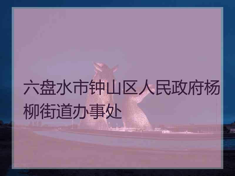 六盘水市钟山区人民政府杨柳街道办事处