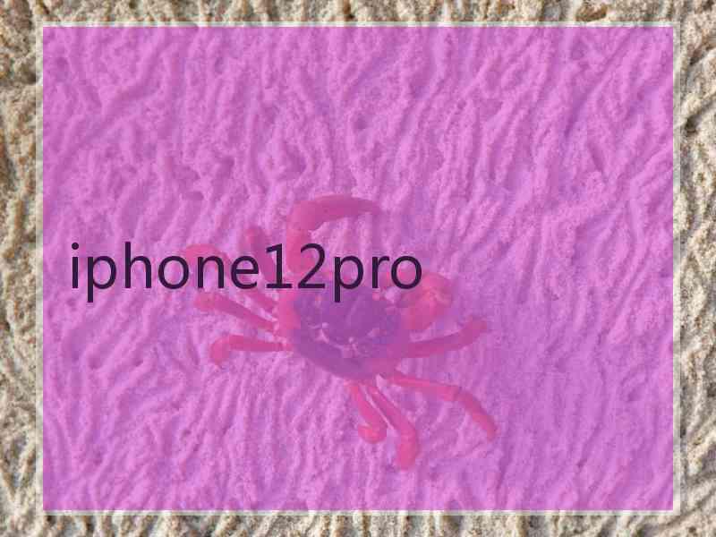 iphone12pro